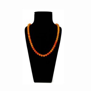 Home carnelian jaap mala